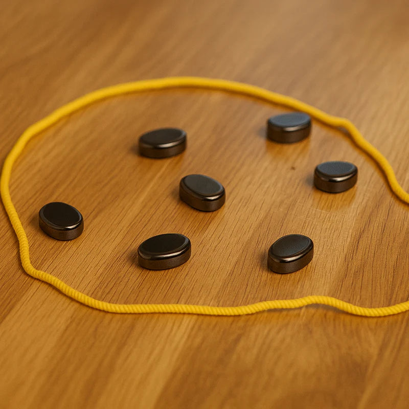 MagnetChess - Lose your magnets first!